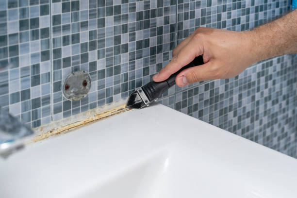 Best Residential Mold Removal  in Spring City, PA