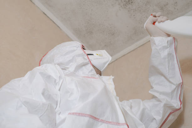 Best Toxic Mold Removal  in Spring City, PA